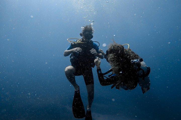 Open Water Diver Certification OWD