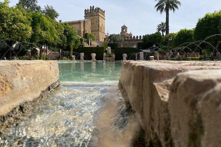 Guided tour of the Synagogue, Jewry and Caliph Baths in Spanish