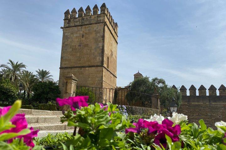 Guided tour of the Synagogue, Jewry and Caliph Baths in Spanish