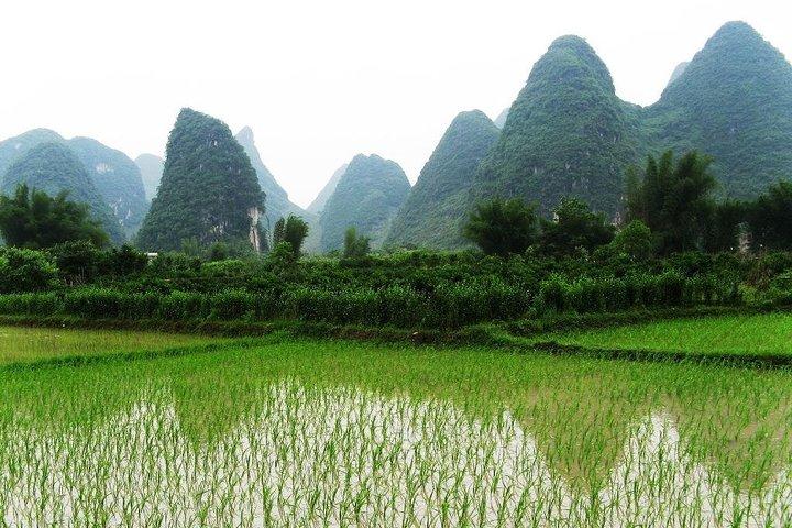 Privat dagstur til Yangshuo fra Guilin: Yulong River, Li River Boat og mere