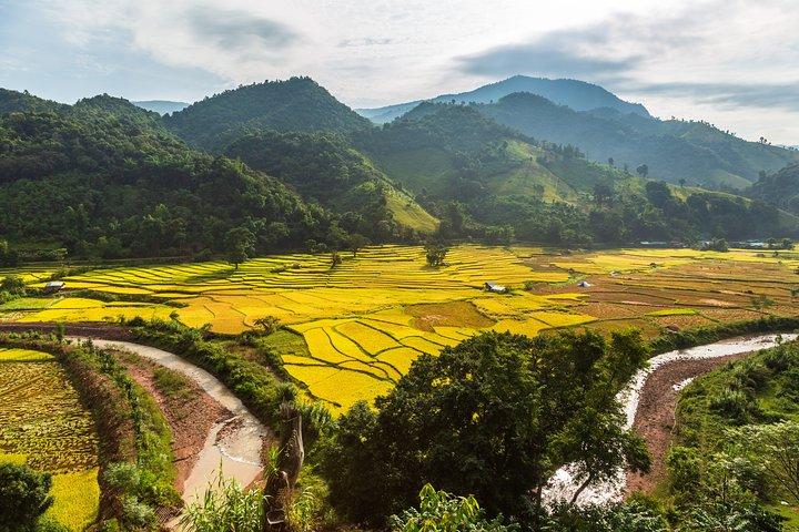 Tour romántico en Nanning