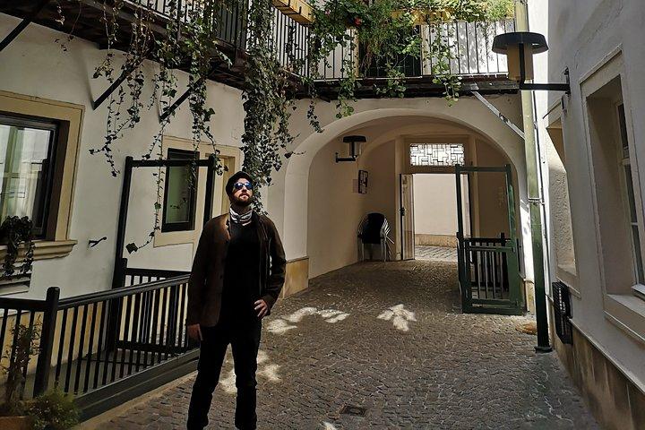 Private Tour durch das historische Wien mit Jan.