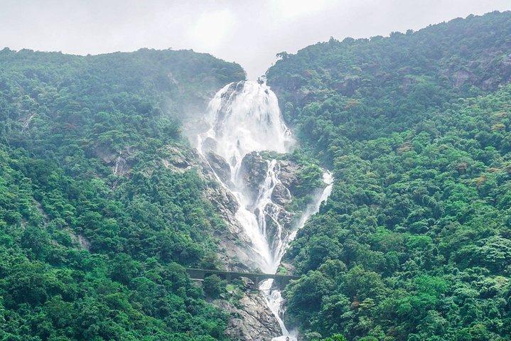 Cascades privées de Dudhsagar et plantation d'épices avec déjeuner depuis le port de Mormugao