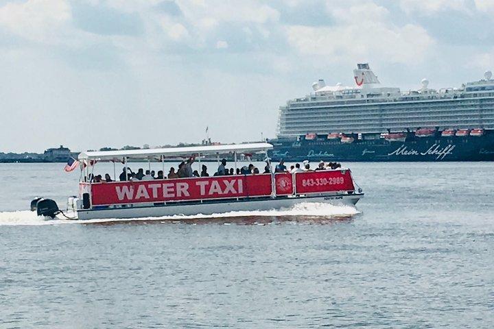 Charleston Wassertaxi-Kreuzfahrt mit Delfinsichtung