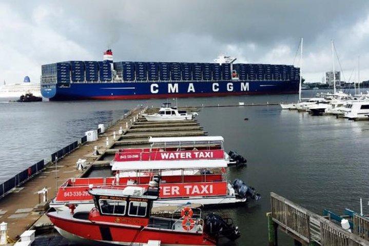 Charleston Wassertaxi-Kreuzfahrt mit Delfinsichtung