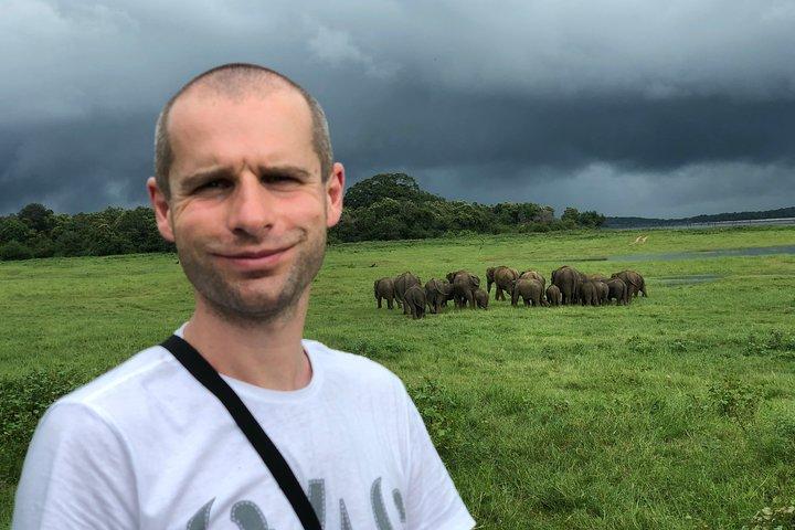 ウダワラワ国立公園サファリ日帰りツアー