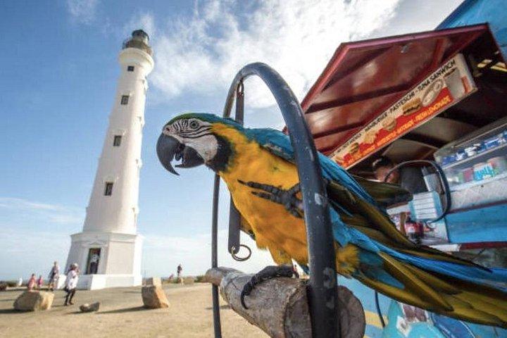 Aruba Shore Excursion: The Highlights and Delights Tour