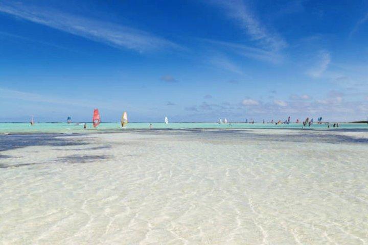 Bonaire Shore Excursion: El tour de los lugares destacados de Bonaire