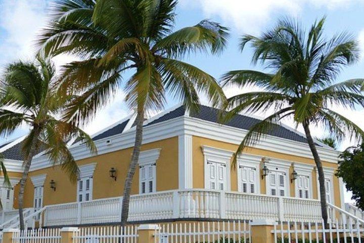 Bonaire Shore Excursion: El tour de los lugares destacados de Bonaire