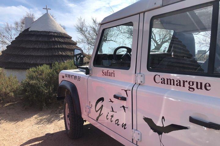 カマルグ4x4サファリ2時間+ピクニック+カヤック