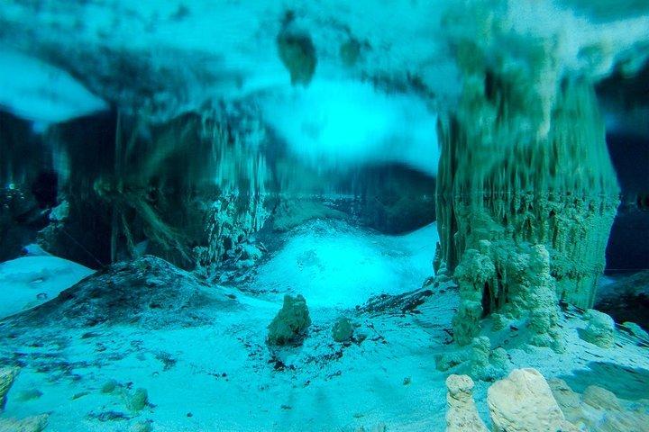 Cenotes and Paradise Lagoon