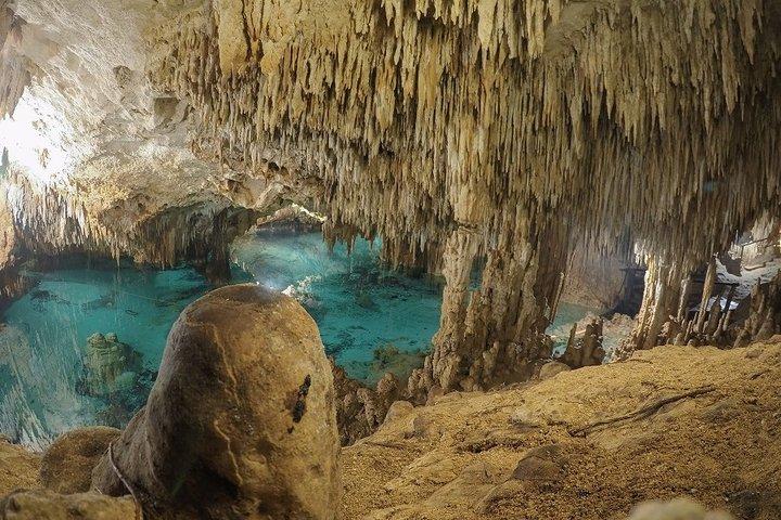 Cenotes and Paradise Lagoon