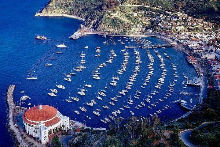 Visite guidée privée de l'île Catalina panier de golf d'Avalon