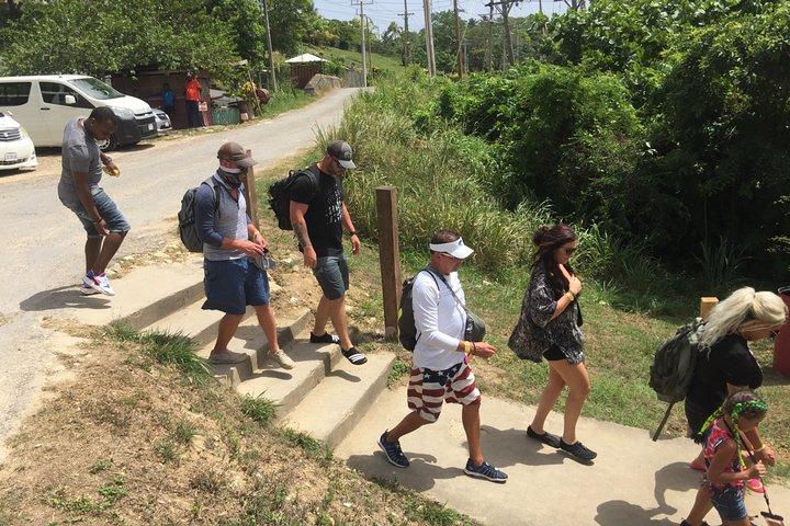 Visite privée des points forts d'Ocho Rios avec prise en charge