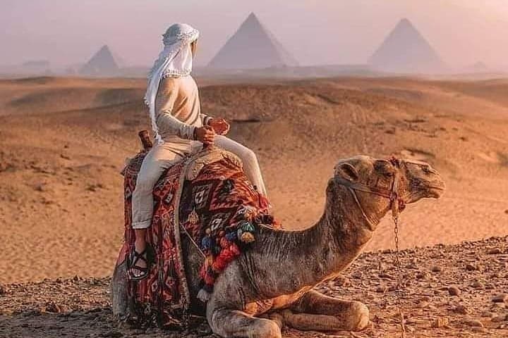 Private Camel or Horse Ride around the Giza Pyramids
