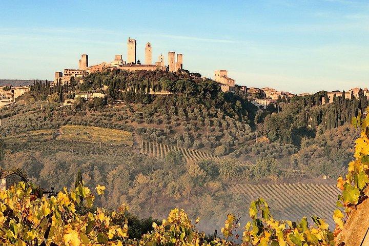 Escursione a terra a Livorno: pranzo e degustazione di vini della Toscana Siena e San Gimignano