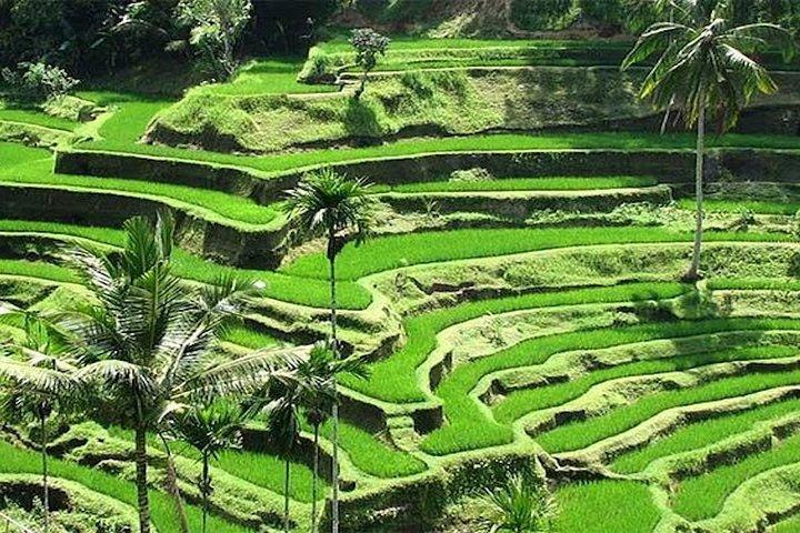 Bali Instagram Tour: Les endroits les plus populaires de Bali