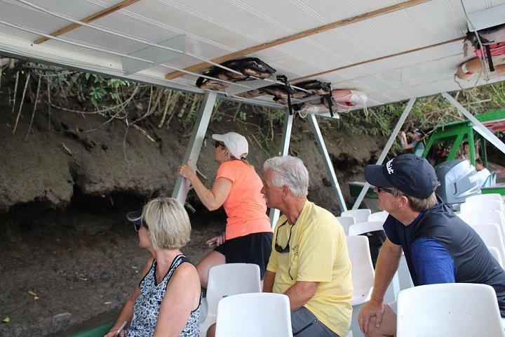 Jungle River Cruise and coffee tour