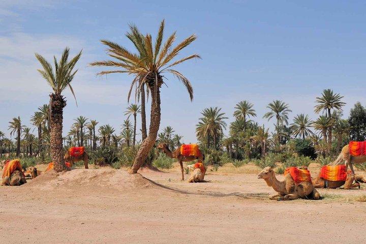 Marrakech Activities Bundle Discount 3 For 2