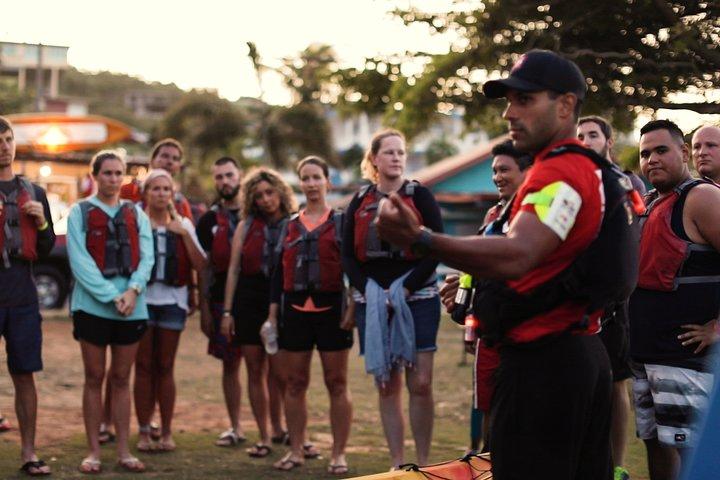 Bio Bay Kayak Tour em Fajardo