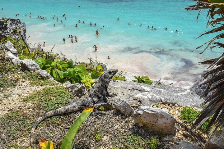 Ancient Adventure : Tulum Ruïnes met ziplines, cenote & buffet