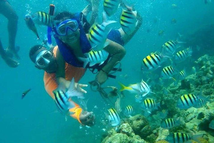 full day at baru island with snorkeling and raccoon sighting