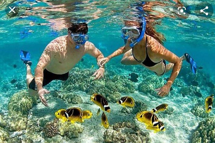full day at baru island with snorkeling and raccoon sighting
