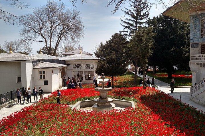 Istanbul: Private Full Day Guided Tour for Cruise Passengers