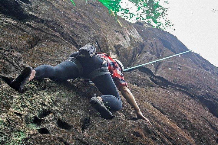 Waldklettern vom Berg Lavinia