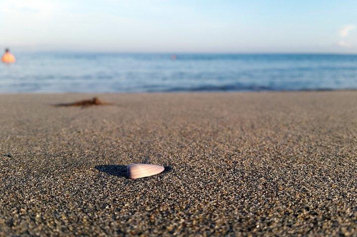 Il meglio del tour a piedi di La Ceiba