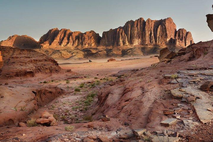 Desde Aqaba : Tour privado de día completo por Wadi Rum y Petra