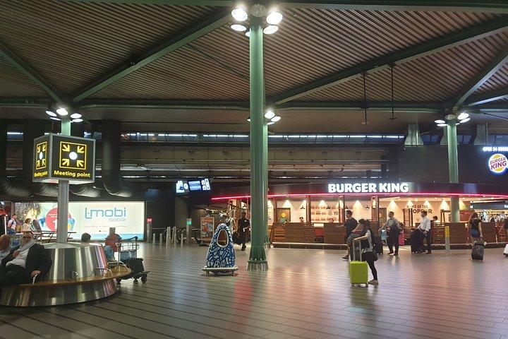 スキポール空港からロッテルダムへのプライベートトランスファー