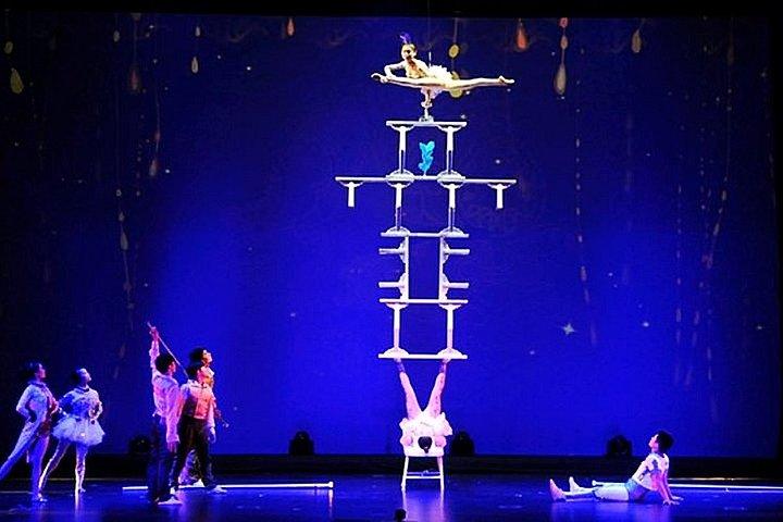 Shanghai Dinner and Acrobatics Show
