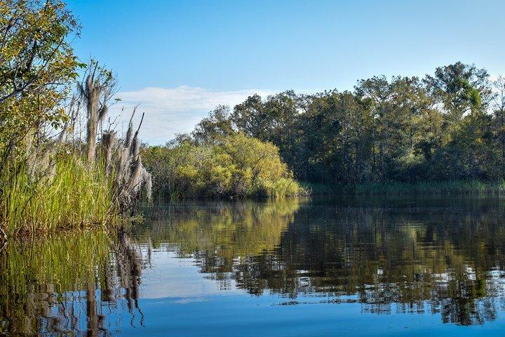 Everglades Guided Kayak Tour