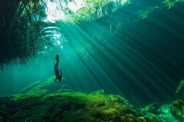 Freediving Intro for Beginners in a Cenote in Tulum Mexico