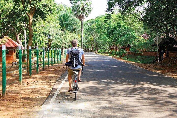 マウントラビニアからのキングダムトレイルサイクリングツアー