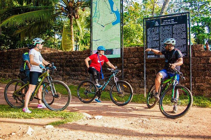 マウントラビニアからのキングダムトレイルサイクリングツアー