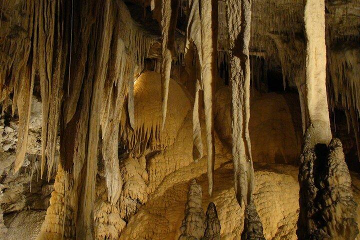 Erkunden Sie die Pannila-Höhle vom Mount Lavinia aus