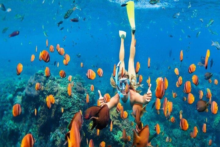 Snorkling i Bentota