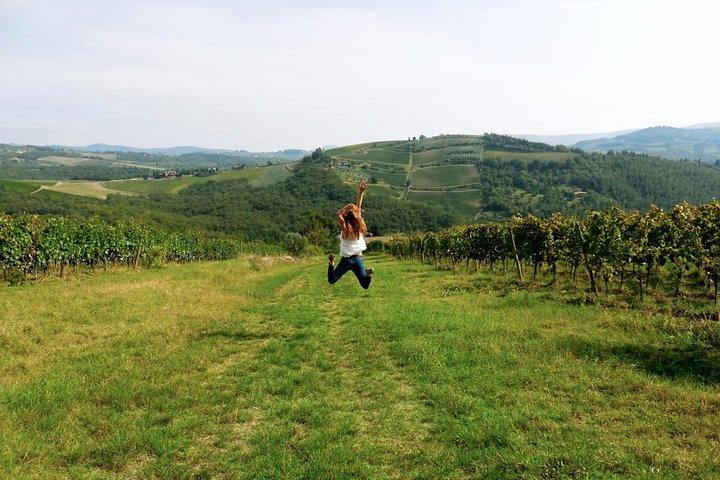 Private Chianti e SuperTuscan Tour 2 vinícolas com almoço leve de Livorno