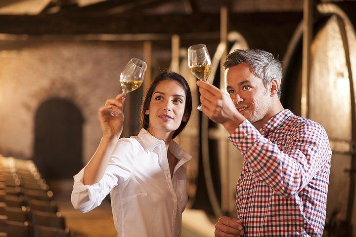 Visite privée de Bella Toscana: 2 établissements vinicoles du Chianti et San Gimignano à partir de Livourne