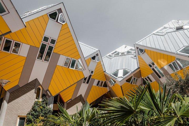 Olanda del Sud in un giorno: tour privato delle città di Rotterdam, L'Aia e Delft
