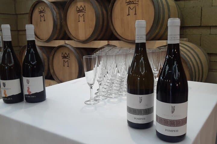Visit 2 wine producers with tasting and transportation included