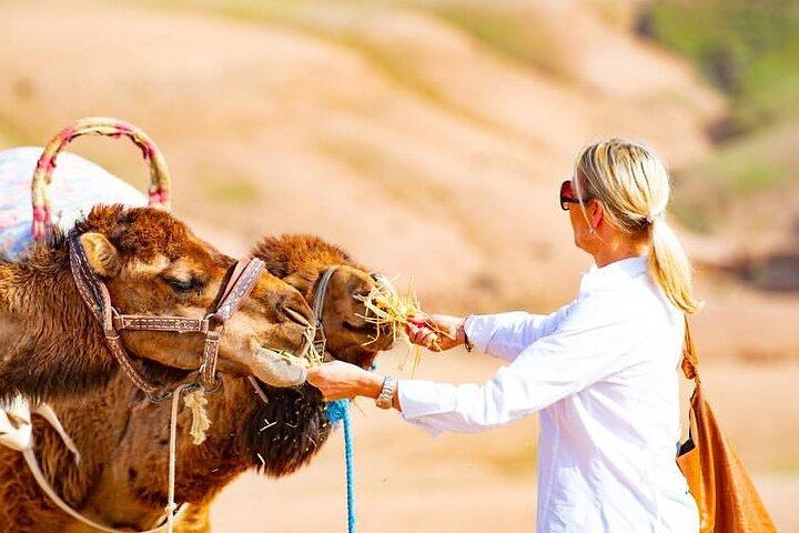 Desierto de Agafay Premium y pueblos bereberes con Camel Safari incluyendo almuerzo