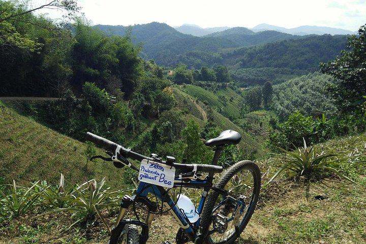 Full day Mountain biking to Waterfall and Hot spring