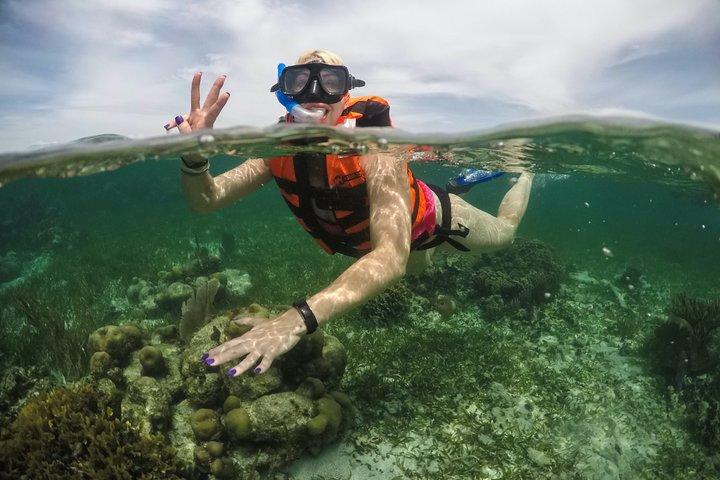 Cancun to isla mujeres catamaran sailing