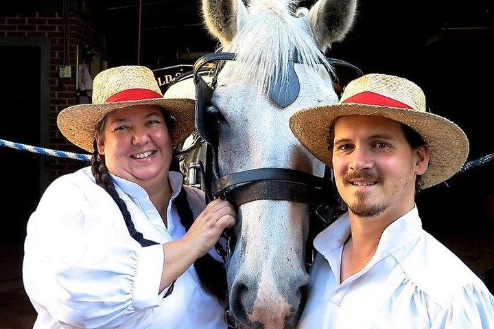Tour storico a cavallo e in carrozza dell'Old South Carriage di Charleston
