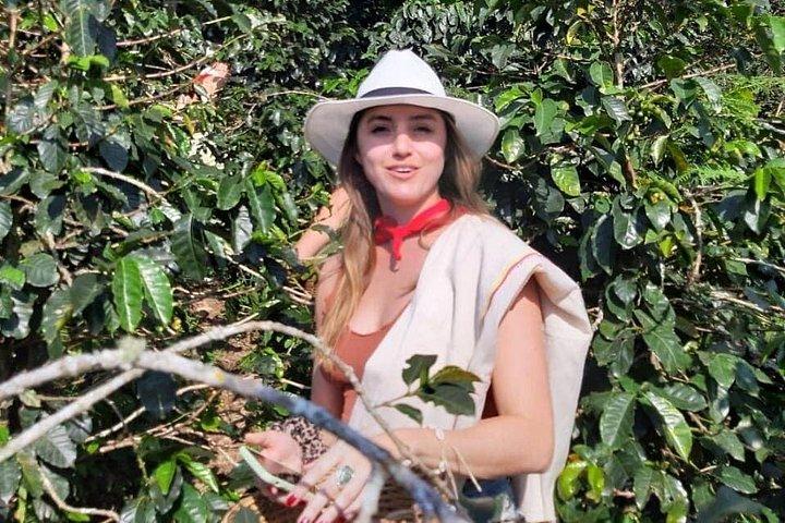 Guatape With Coffe Tours