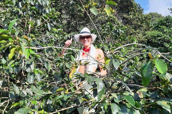 Guatape With Coffe Tours