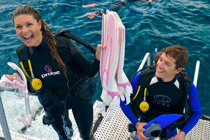 ポートダグラスから1日で巡るシルヴァーソニックの3つの外洋サンゴ礁スポット